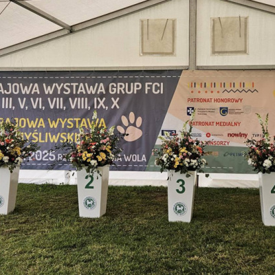 Rzeszowski Weekend Wystawowy - Zwycięzcy