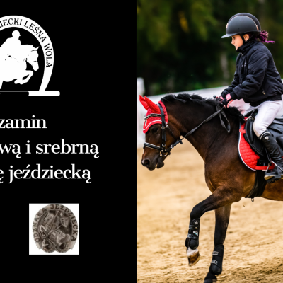 EGZAMIN NA BRĄZOWĄ I SREBRNĄ ODZNAKĘ JEŹDZIECKĄ
