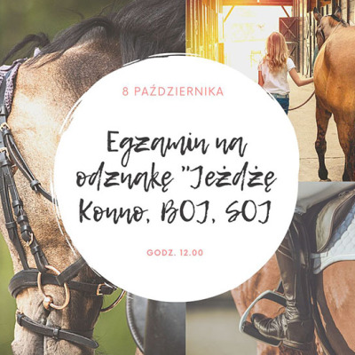 Egzamin na odznakę 