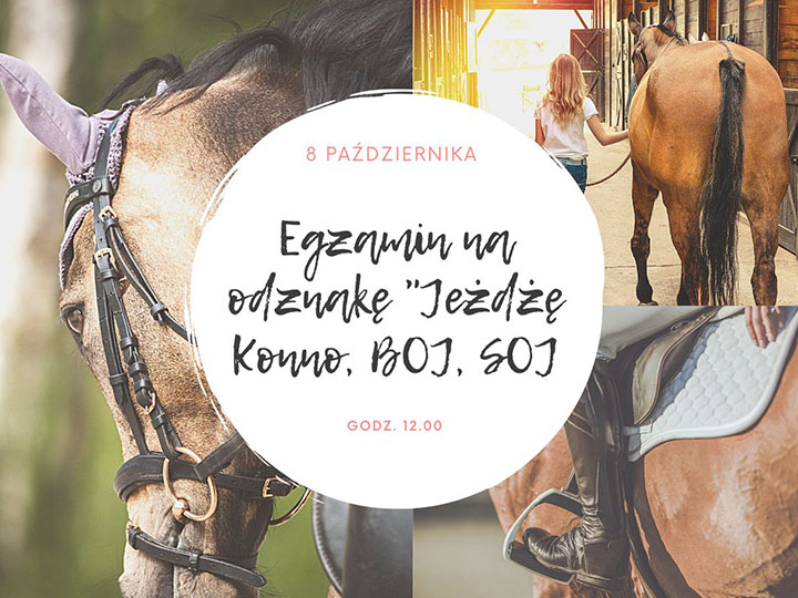 Pytania Na Odznake Jezdze Konno Egzamin na Odznakę Jeżdżę Konno w Stadninie Leśna Wola 8.10.2022r