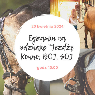Egzamin na odznakę 