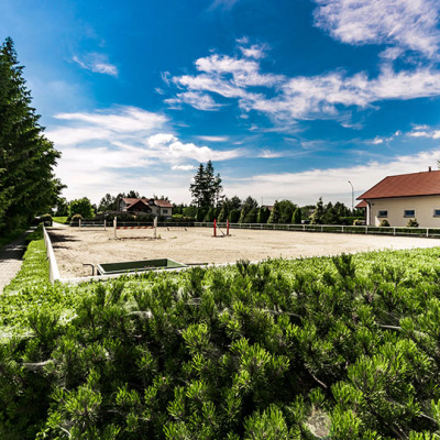 Majówka w stadninie koni