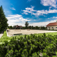 Pensjonat dla konii