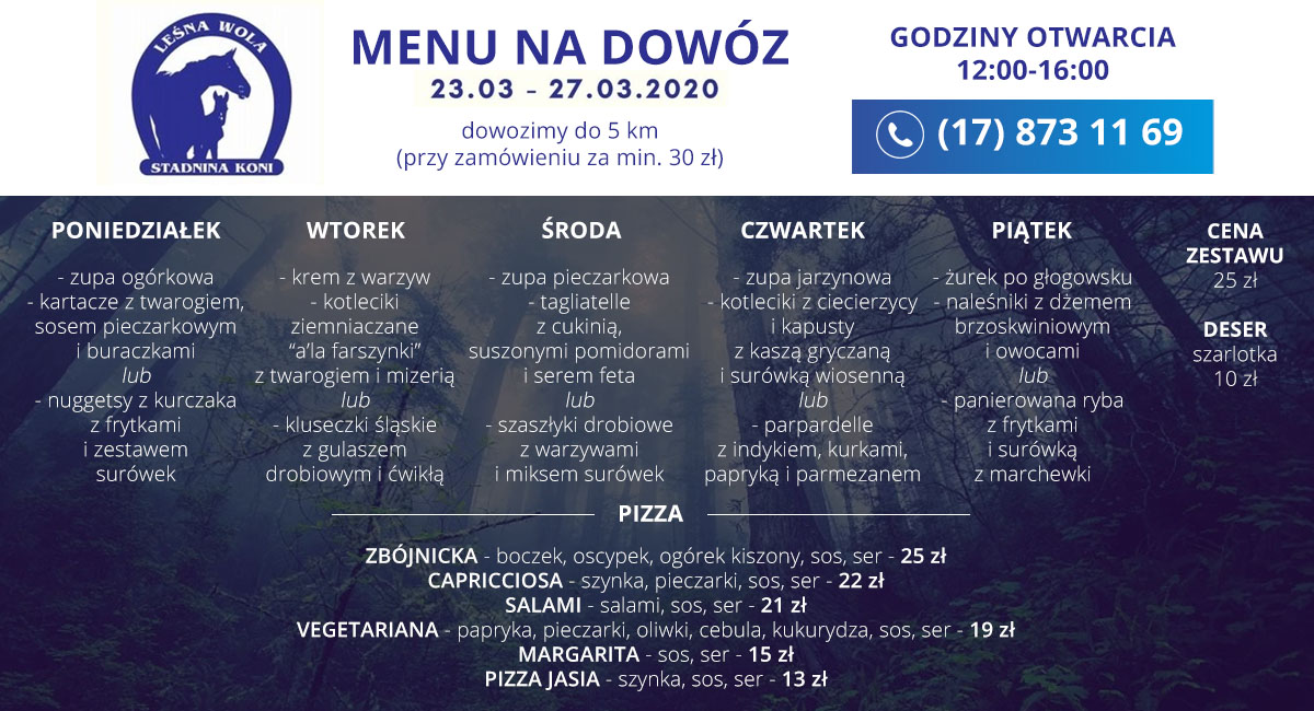 jedzenie na dowóz głogów małopolski