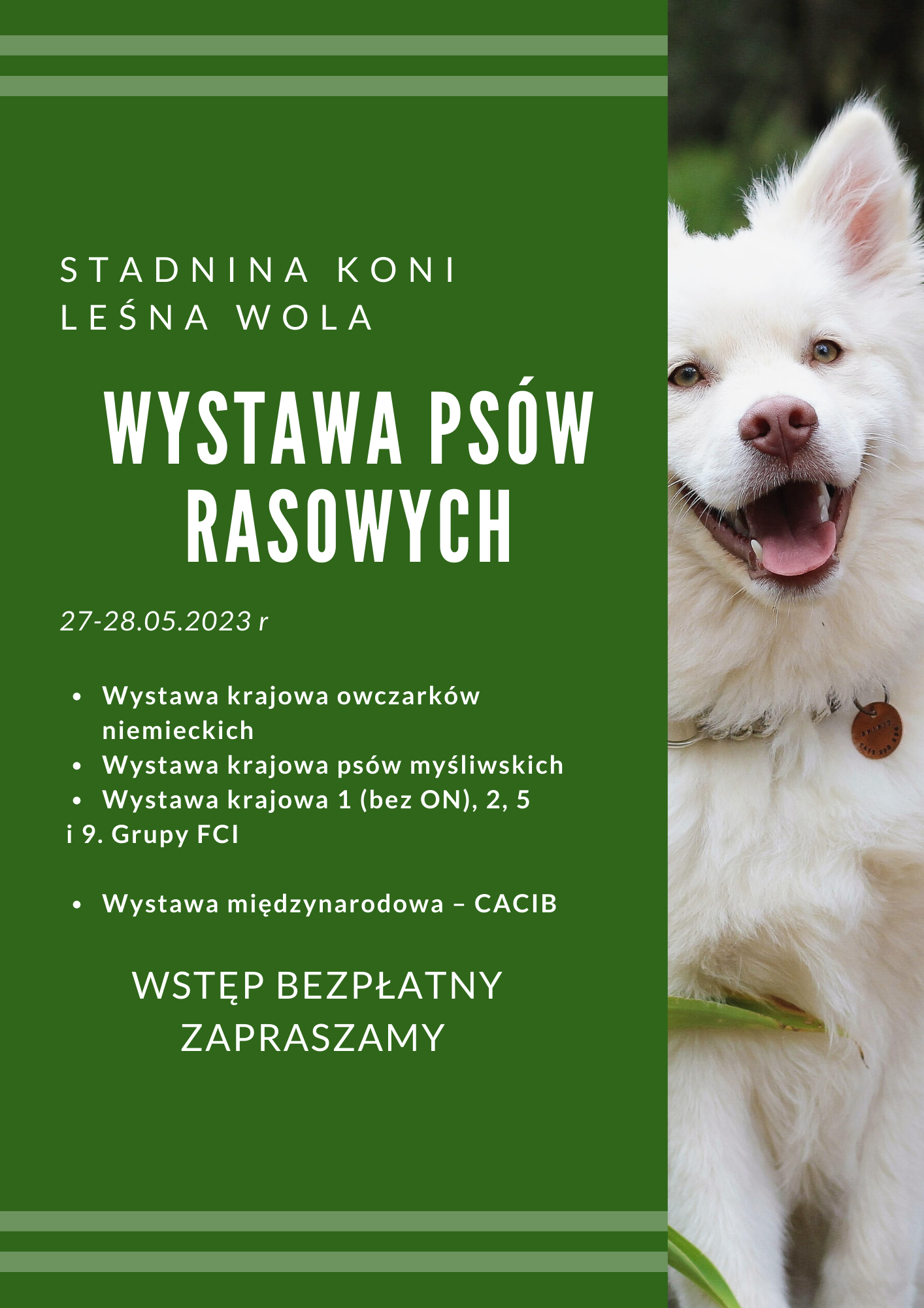 krajowa i międzynarodowa wystawa psów 2023