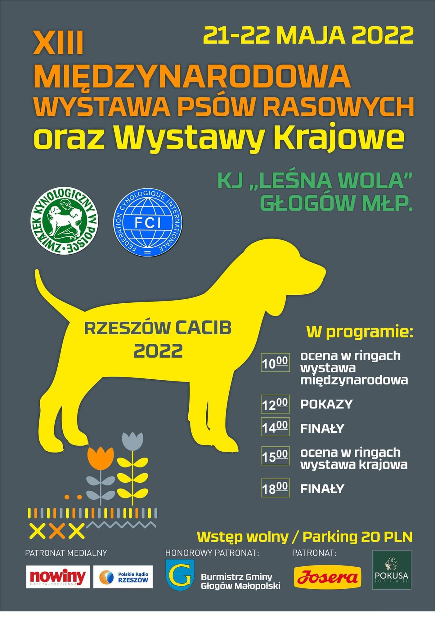 wystawa psów